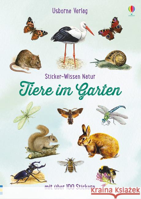 Sticker-Wissen Natur: Tiere im Garten Clarke, Phillip 9781782327622 Usborne Verlag - książka