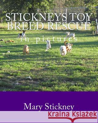 Stickneys Toy Breed Rescue in pictures: 2005 thru 2011 Stickney, Mary 9781448680832 Createspace - książka