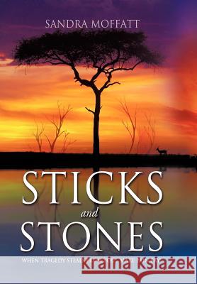 Sticks and Stones Sandra Moffatt 9781622304622 Xulon Press - książka