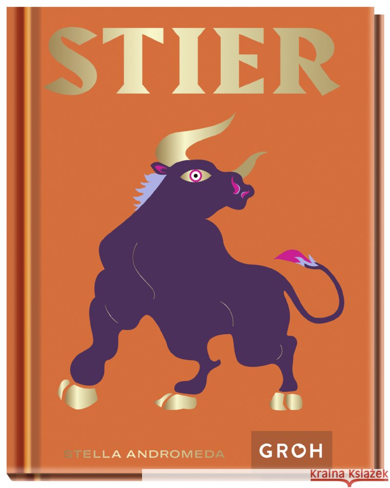 Stier Andromeda, Stella 9783848500932 Groh Verlag - książka