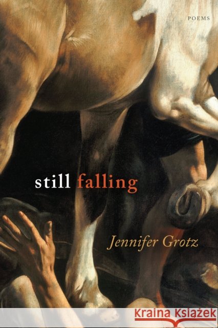 Still Falling: Poems Jennifer Grotz 9781644452318 Graywolf Press - książka