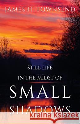 Still Life in the Midst of Small Shadows James H Townsend 9781478796107 Outskirts Press - książka