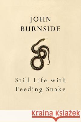 Still Life with Feeding Snake  9781910702413 Vintage Publishing - książka