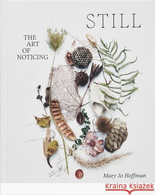 STILL: The Art of Noticing Mary Jo Hoffman 9781580936330 Monacelli Press - książka