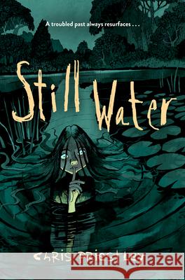 Still Water Chris Priestley 9781454958581 Union Square Kids - książka