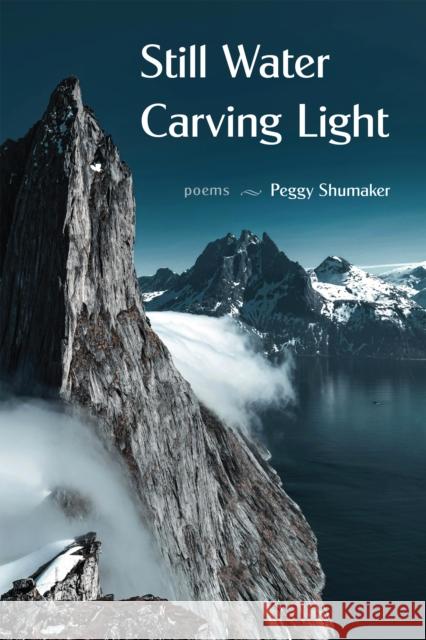 Still Water Carving Light: Poems Peggy Shumaker 9781636281681 Red Hen Press - książka