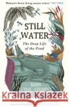 Still Water: The Deep Life of the Pond John Lewis-Stempel 9781784162429 Transworld Publishers Ltd