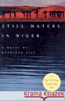 Still Waters in Niger Kathleen Hill 9780810151345 Triquarterly Books - książka