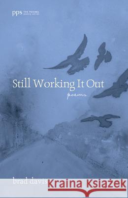 Still Working It Out Brad Davis 9781625648136 Cascade Books - książka