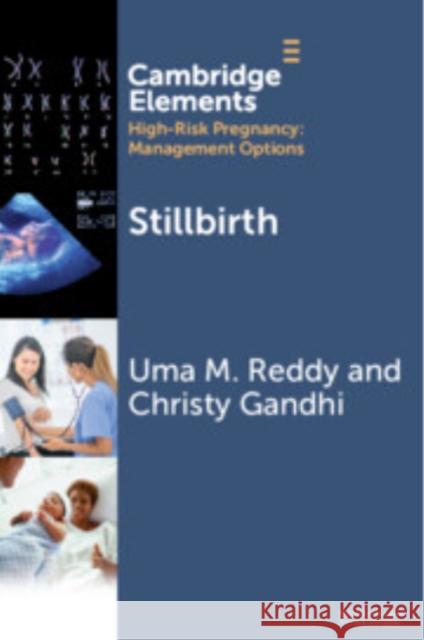 Stillbirth Christy (George Washington University, Washington DC) Gandhi 9781009702539 Cambridge University Press - książka