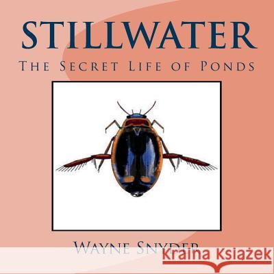 Stillwater: The Secret Life of Ponds Wayne Snyder 9781986815789 Createspace Independent Publishing Platform - książka