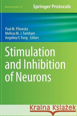 Stimulation and Inhibition of Neurons Paul M Pilowsky 9781627032322  - książka