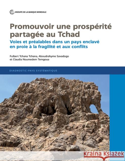 Stimuler une prosperite partagee au Chad Claudia Noumedem Temgoua 9781464818875 World Bank Publications - książka