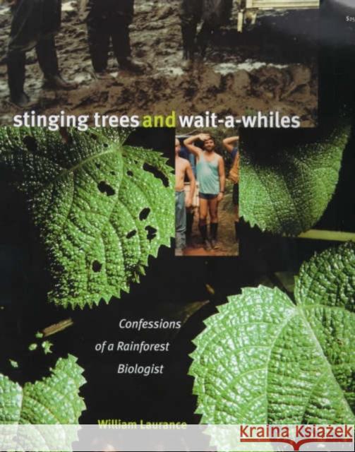Stinging Trees & Wait-A-Whiles: Confessions of a Rainforest Biologist William F. Laurance 9780226468969 University of Chicago Press - książka