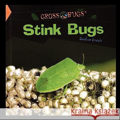 Stink Bugs Jonathan Kravetz 9781435838109 Rosen Publishing Group - książka