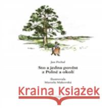 Sto a jedna pověst z Polné a okolí Jan Prchal 9788087683590 NOVELA BOHEMICA - książka