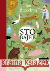 Sto bajek Jan Brzechwa 9788367697187 Bajka - książka
