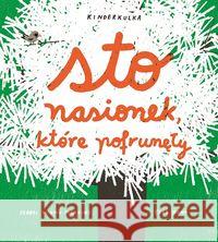 Sto nasionek, które pofrunęły Minhos Martins Isabel Kono Yara 9788395179297 Kinderkulka - książka