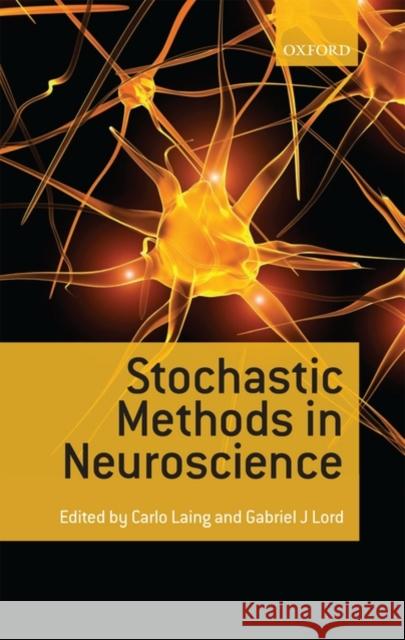 Stochastic Methods in Neuroscience Carlo Laing Gabriel J. Lord 9780199235070 Oxford University Press, USA - książka