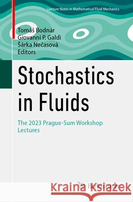 Stochastics in Fluids: The 2023 Prague-Sum Workshop Lectures Tom?s Bodn?r Giovanni P. Galdi S?rka Nečasov? 9783032022981 Birkhauser - książka