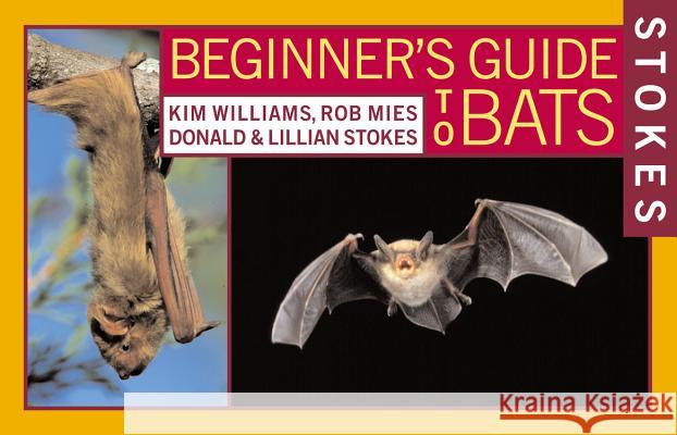 Stokes Beginner's Guide to Bats Ken Williams Rob Mies Donald Stokes 9780316816588 Little Brown and Company - książka