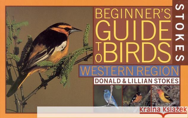 Stokes Beginner's Guide to Birds: Western Region Donald Stokes Lillian                                  Lillian Q. Stokes 9780316818124 Little Brown and Company - książka