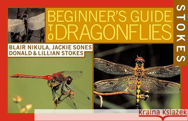 Stokes Beginner's Guide to Dragonflies Blair Nikula Jackie Sones Donald Stokes 9780316816793 Little Brown and Company - książka