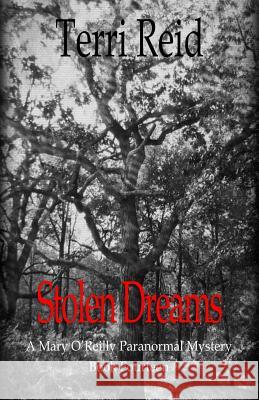 Stolen Dreams - A Mary O'Reilly Paranormal Mystery - Book Fourteen Terri Reid 9781507536759 Createspace - książka