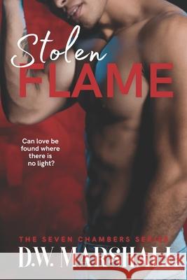 Stolen Flame D. W. Marshall 9780996872959 D.W. Marshall - książka