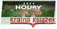 Stolní kalendář Houby 2026  8595689353261 Presco Group - książka