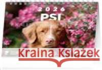 Stolní kalendář Psi - se jmény psů 2026  8595689353384 Presco Group - książka