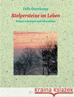 Stolpersteine im Leben - Krisen erkennen und überstehen Osterkamp, Felix-Daniel 9783347132474 Tredition Gmbh - książka