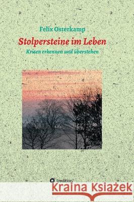 Stolpersteine im Leben - Krisen erkennen und überstehen Osterkamp, Felix-Daniel 9783347132481 Tredition Gmbh - książka