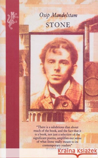 Stone Osip Mandelstam 9781846553370 Vintage Publishing - książka