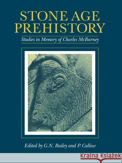 Stone Age Prehistory: Studies in Memory of Charles McBurney Bailey, G. N. 9780521105422 Cambridge University Press - książka