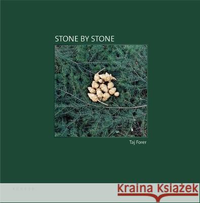 Stone By Stone Taj Forer 9783868282153 Kehrer Verlag - książka