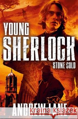 Stone Cold Andrew Lane 9781447228011 Pan Macmillan - książka