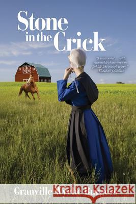 Stone in the Crick Granville Wyche Burgess 9780999756904 Chickadee Prince Books - książka