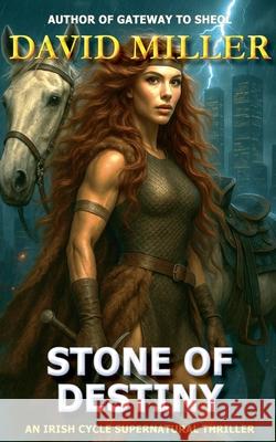 Stone of Destiny David Miller 9781962241021 Dark Road Publishing - książka