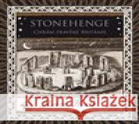 Stonehenge. Chrám pravěké Británie Robin Heath 9788073639624 Máj - książka