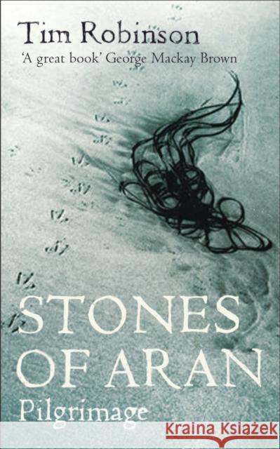 Stones of Aran: Pilgrimage Tim Robinson 9780571241040 Faber & Faber - książka