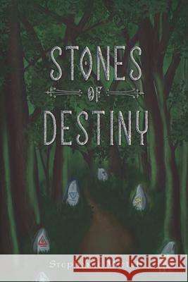 Stones of Destiny Stephanie Welch 9781734735468 Southern Willow Publishing, LLC - książka