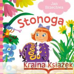 Stonoga Jan Brzechwa 9788382074628 Skrzat - książka