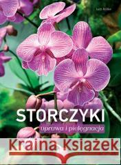 Storczyki. Uprawa i pielęgnacja Rollke Lutz 9788377636893 Multico - książka