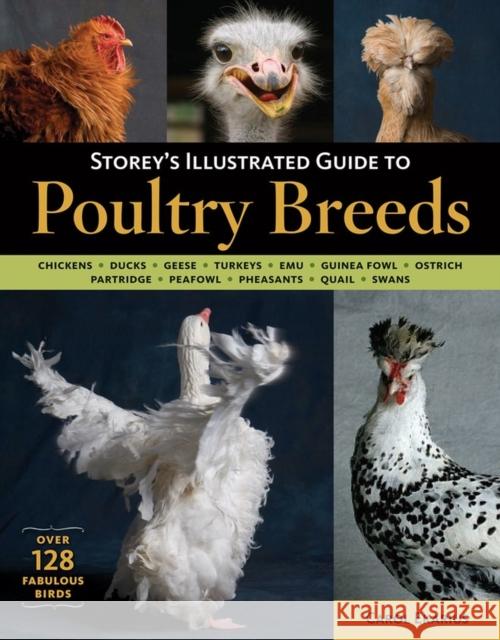 Storey's Illustrated Guide to Poultry Breeds: Chickens, Ducks, Geese, Turkeys, Emus, Guinea Fowl, Ostriches, Partridges, Peafowl, Pheasants, Quails, S Ekarius, Carol 9781580176675 Storey Publishing - książka