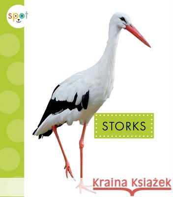Storks Lisa Amstutz 9781645491002 Amicus - książka