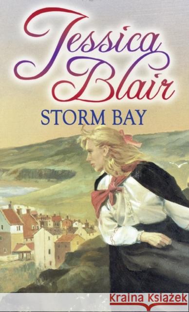 Storm Bay Blair, Jessica 9780751545463  - książka