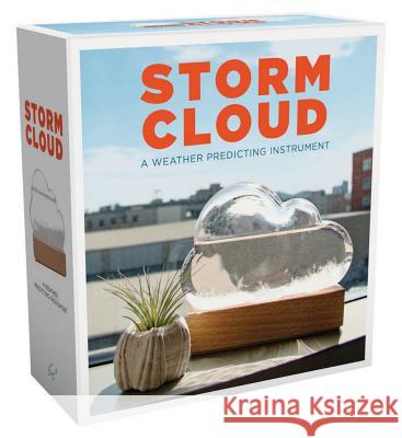 Storm Cloud: A Weather Predicting Instrument (Weather Predictor, Fun Cloud-Shaped Barometer) Bitten 9781452177083 Chronicle Books - książka