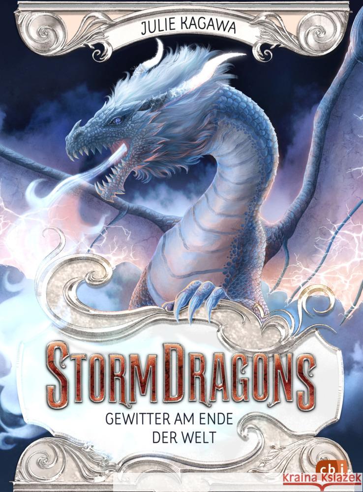 Storm Dragons - Gewitter am Ende der Welt Kagawa, Julie 9783570181782 cbj - książka