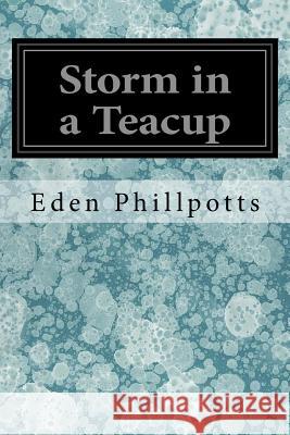 Storm in a Teacup Eden Phillpotts 9781978072961 Createspace Independent Publishing Platform - książka